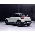 2022 Smart Grie Pure elektr vositasi