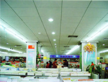 Clip-in Aluminum Ceiling