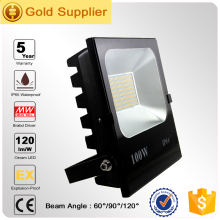 Aluminum Lamp Body Material led flood light 100W landmark lighting