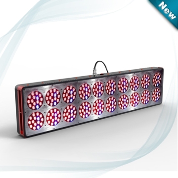 Top LED grow lights apollo 20