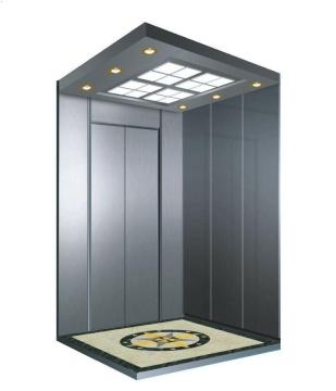 Luxury Residential Cheap Passenger Elevator