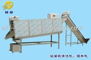 Continuous Vegetable Washer And Production Line