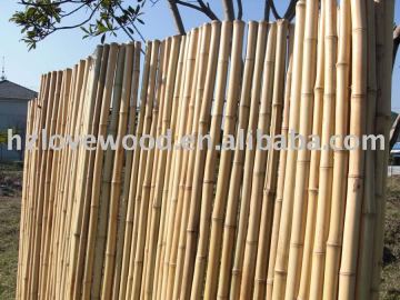 trendline screen, bamboo trendline screens