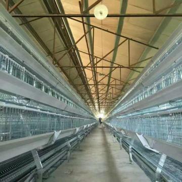 SHINE Chicken Cages for Layer Cage System