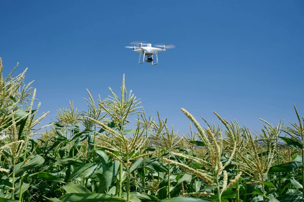 DJI P4 Multispectral for plant intelligence Targeted Action drone with camera Phantom 4 Multispectral for agriculture survey
