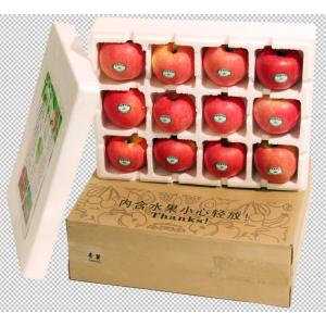 Transport-rich red Fuji apple.