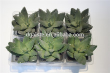 artificial bonsai plants artificial mini desk decor bonsai