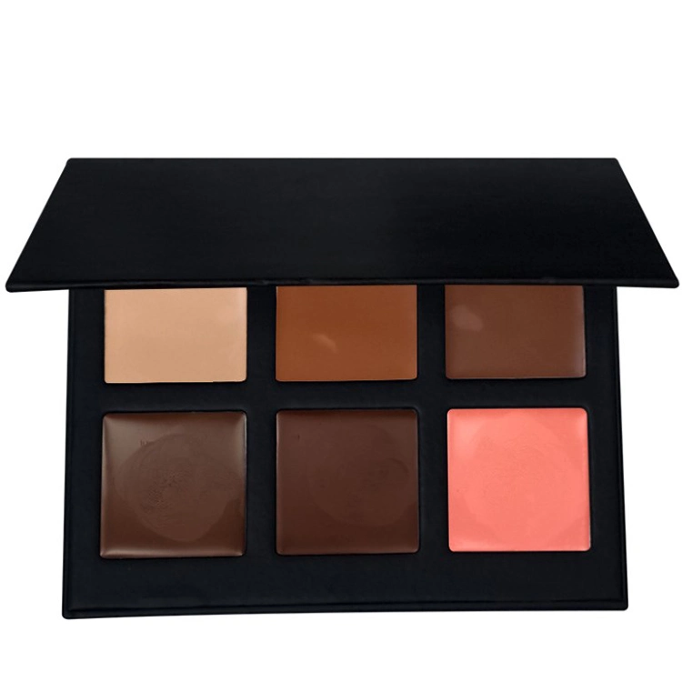 2021 Cosmetic Cream Concealer Palette 6 Colors Cream Palette Concealer Makeup