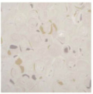 decorative vinyl flooring