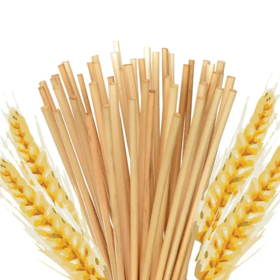 100% Biodegradable & Compostable Eco Disposable Drinking Wheat Straw