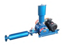 Roots Blower (Dual tanks)