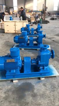 CYZ  Self-priming Pumps   Sea Water