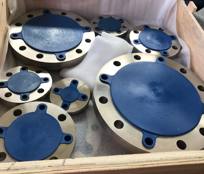 Titanium Flange