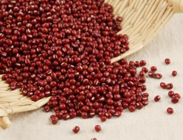 Red Bean