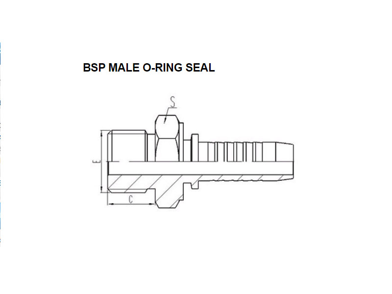 BSP Male O-RING Seal 12211