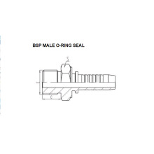 BSP Male O-RING Seal 12211