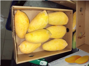 Mango ripener/Ethephon for ripening fresh Pakistan green mango fruit/ Ethylene ripening banana/Ethylene ripener