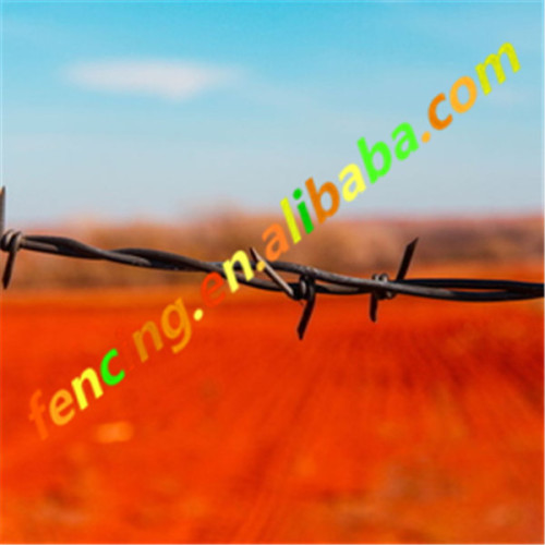 Sharp Single Strand Galvanized Barbed Wire