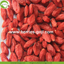 Lose Weight Natural Dried Nutrition Tibetan Goji Berries