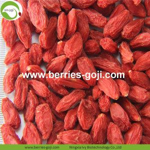 Perdre du poids Nutrition naturelle séchée Baies tibétaines Goji