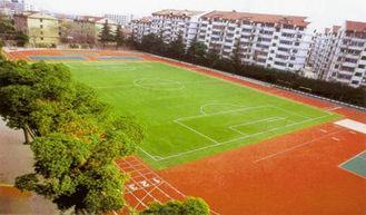 Outdoor Artificial Turf