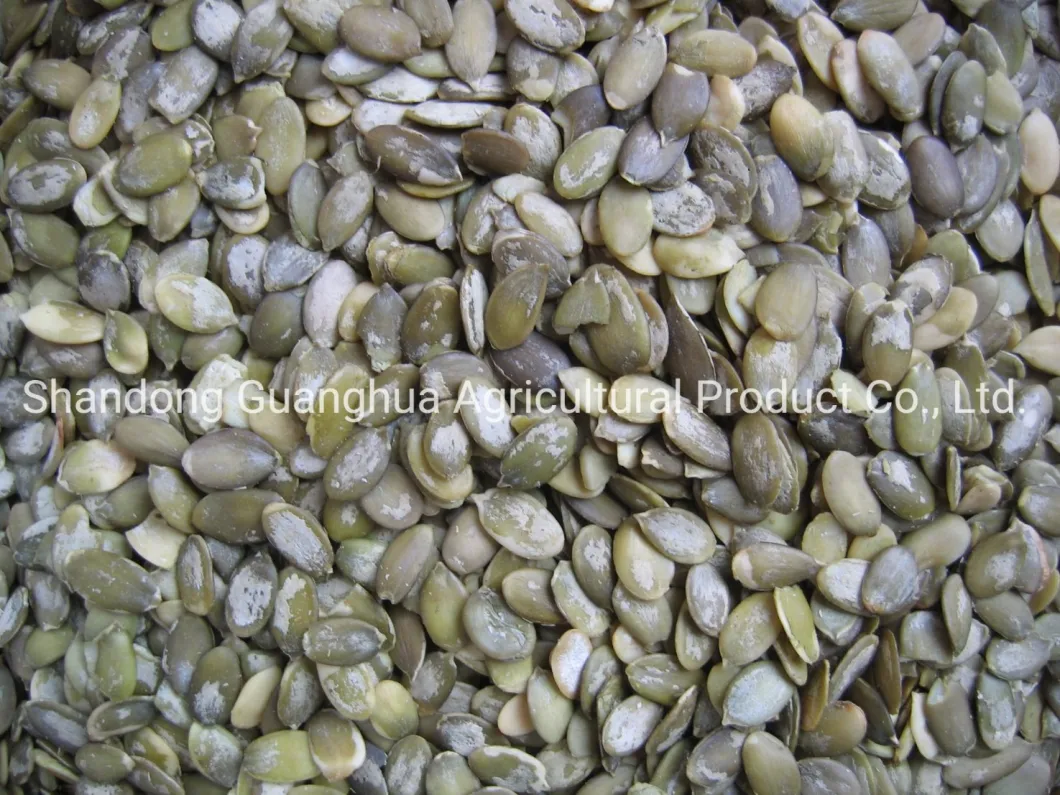 New Crop Snow White Pumpkin Seeds From Shandong Guanghua