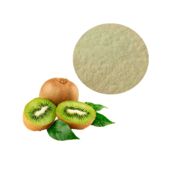GMP hot selling kiwi powder kiwi freeze-dried powder