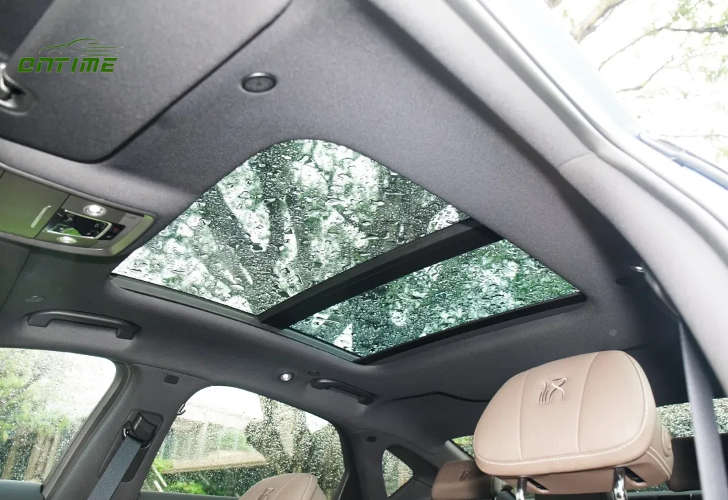 Environmentally Friendly and Comfortable New Energy Vehicle Hanev Hybrid Family Sedan with a 715km Remote Range