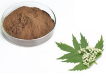 100% EU Organic Natural Valerian Extract Powder