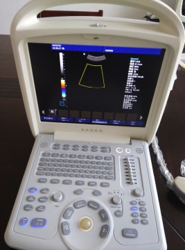Portable Veterinary Pregnancy Device Ultrasound Scanner in USA