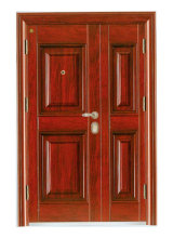 Non-Standard Metal Security Door
