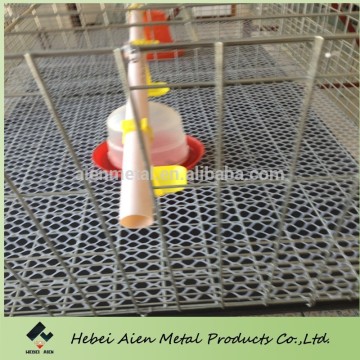 battery broiler cage systerm