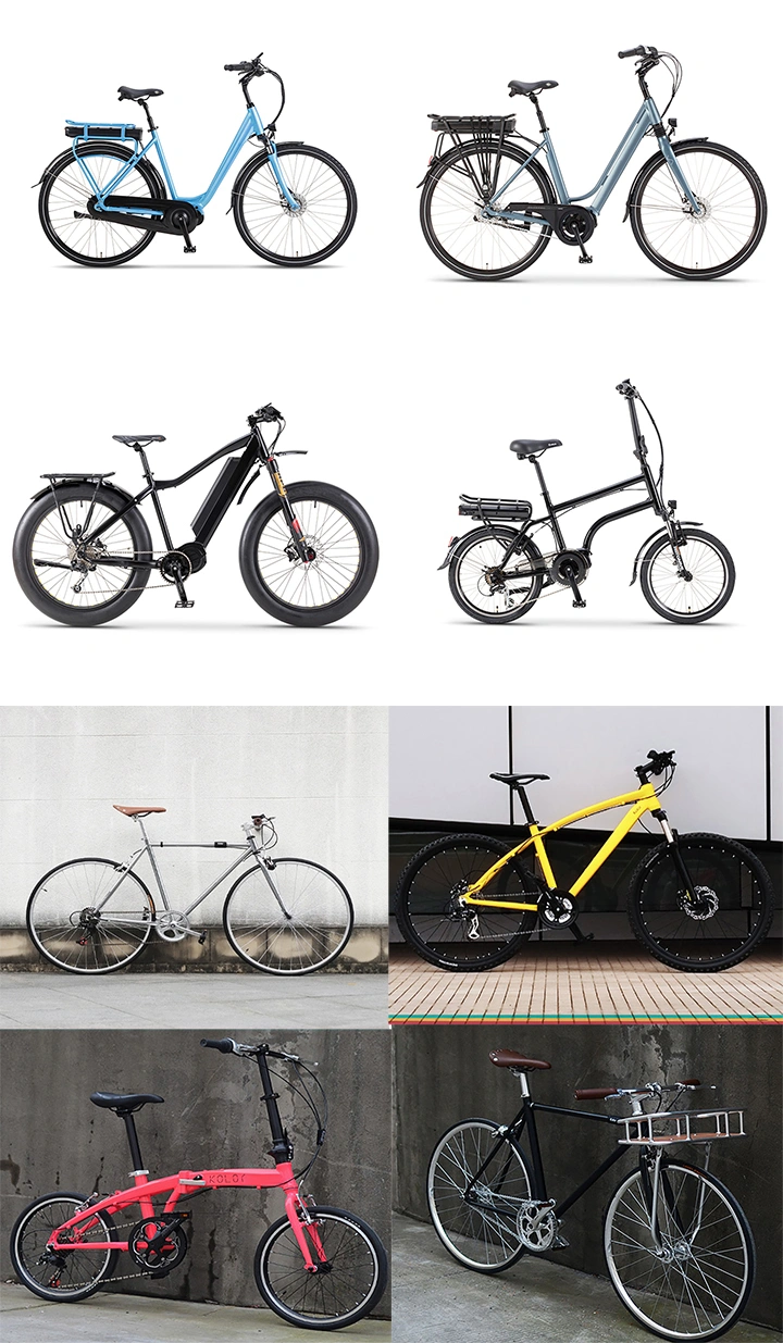 Fat Mountain Bike Snow Electric Bicycle Fat E Bicycle Tire