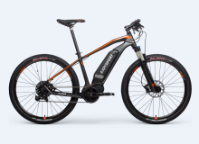 Customized Electric Lowrider Bike