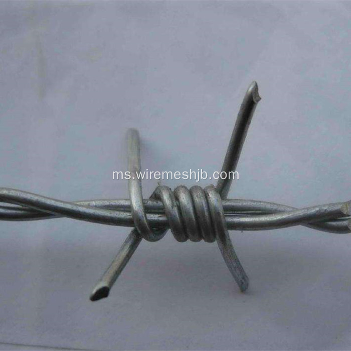 Galvanized Barbed Wire Double Strand Twist Twist