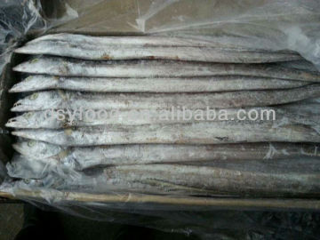 Frozen ribbonfish fish W/R