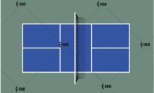 Elastic Indoor Pile Height Ball Bounce Pickleball Court