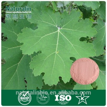 biological pesticide ingredients from Macleaya Extract