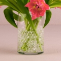 Colorful Magic Crystal sols pour plantes décoration