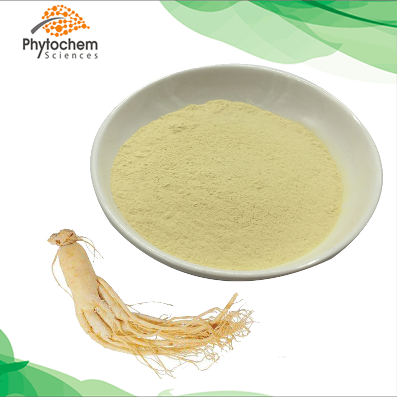 80% ginsenosides panax ginseng extract powder
