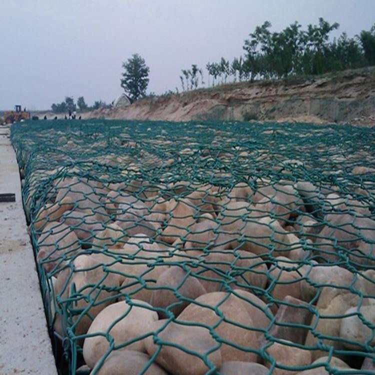 PVC coated terramesh gabion mesh(Professional manufacture)