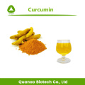 Nano Kurkuma-Wurzel-Extrakt-Curcumin 95% Pulver HPLC