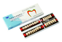 2-layer Resin Teeth Full Set