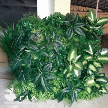Affordable living wall system plastic living green wall garden lving wall