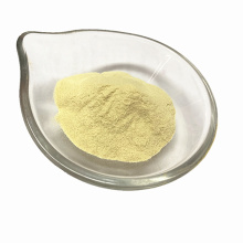 Spray Drying Balsam Pear Powder