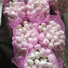 Pure White Garlic and Normal white Garlic