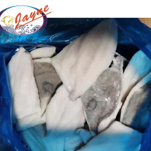 New Products Seafood Products Frozen John Dory,Vacuum Packing Frozen John Dory Fillet