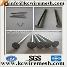 Flat Head Common Iron Nails
