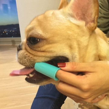 Custom Cat Dog Silicone Finger Finger Toothbrush