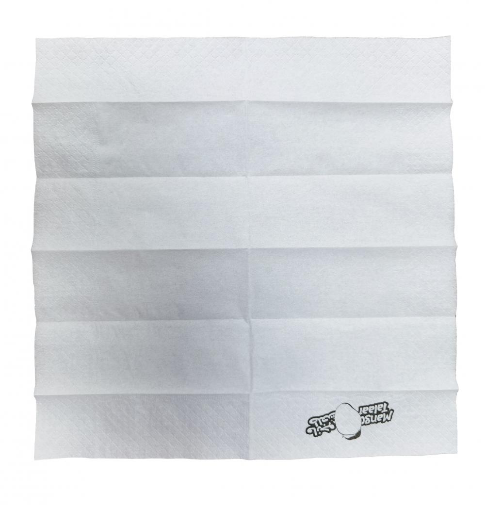 2ply 1/12 fold luncheon napkin